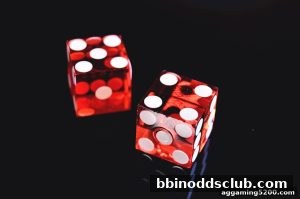 AG真人 bbinoddsclub